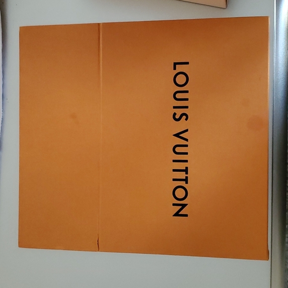 Louis Vuitton Shoe Box and Dust Bags - Picture 5 of 7